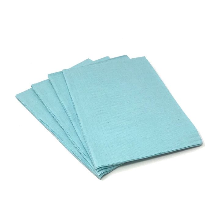 Blue - Nuclear Plus Patient Bibs Case