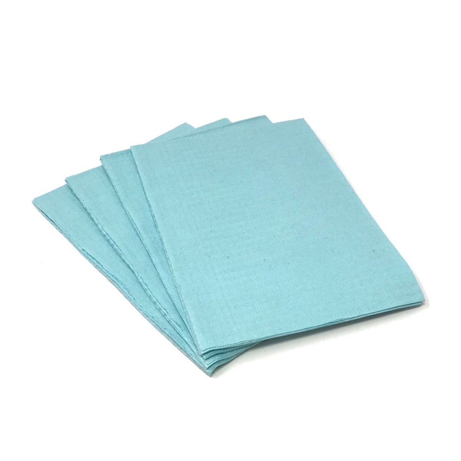 Blue - Nuclear Plus Patient Bibs Case