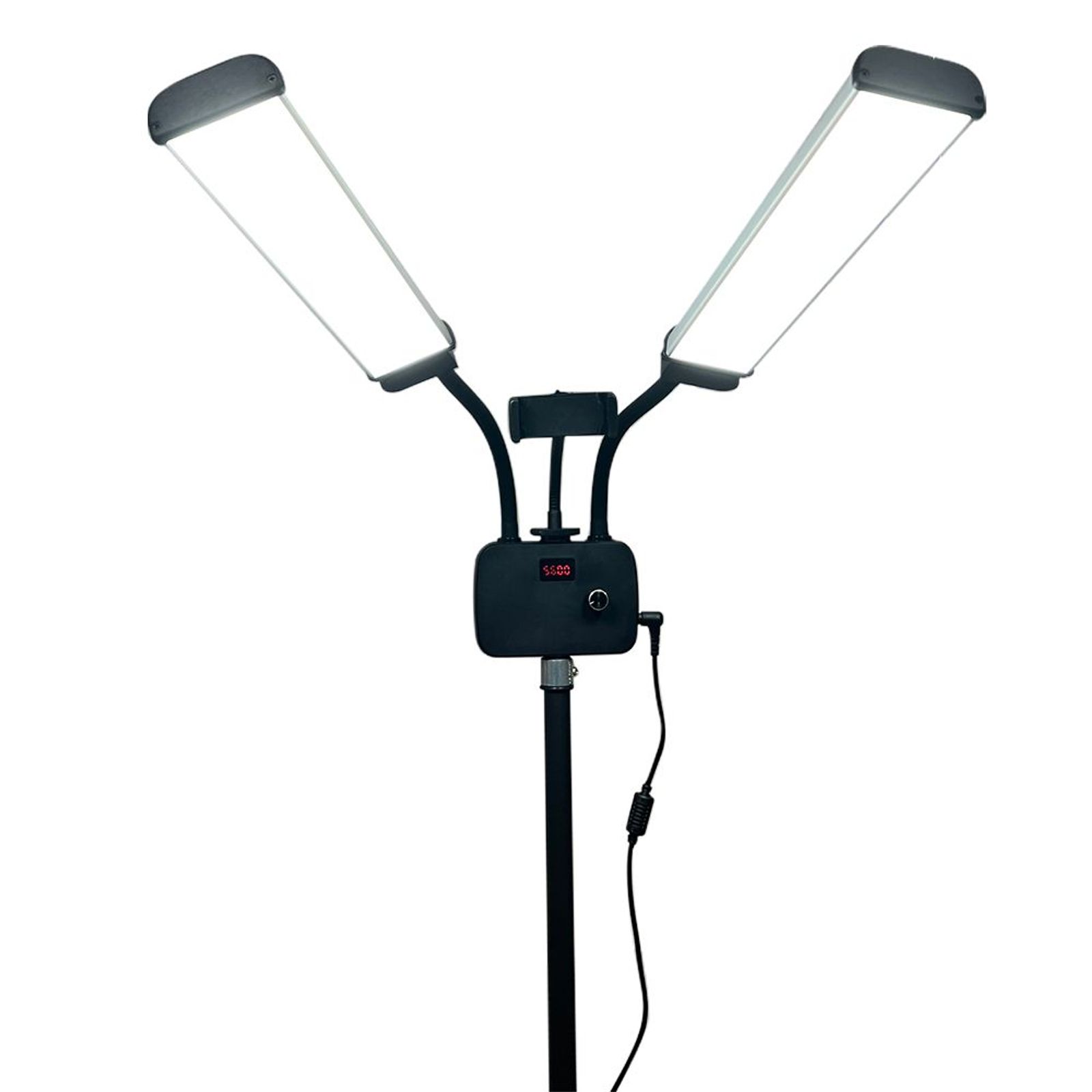 Dual Arm Light